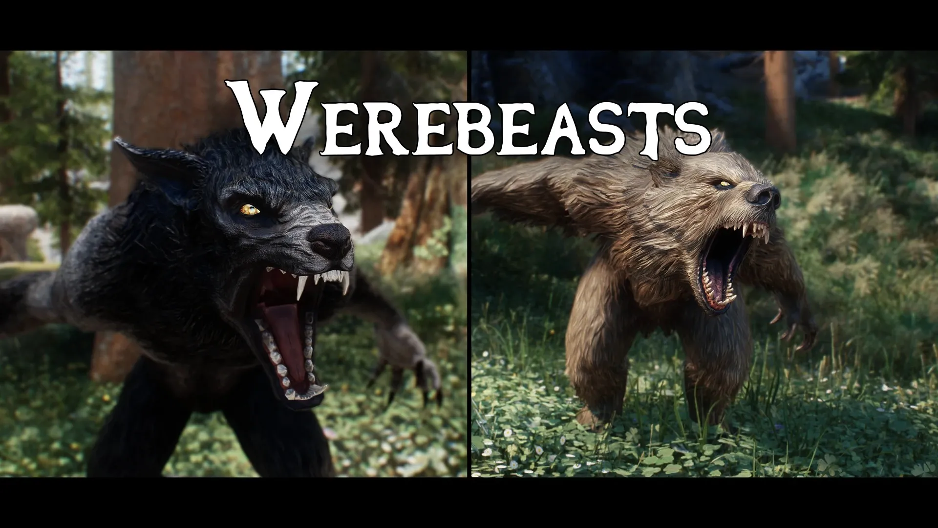 WereWolf Banner.jpg