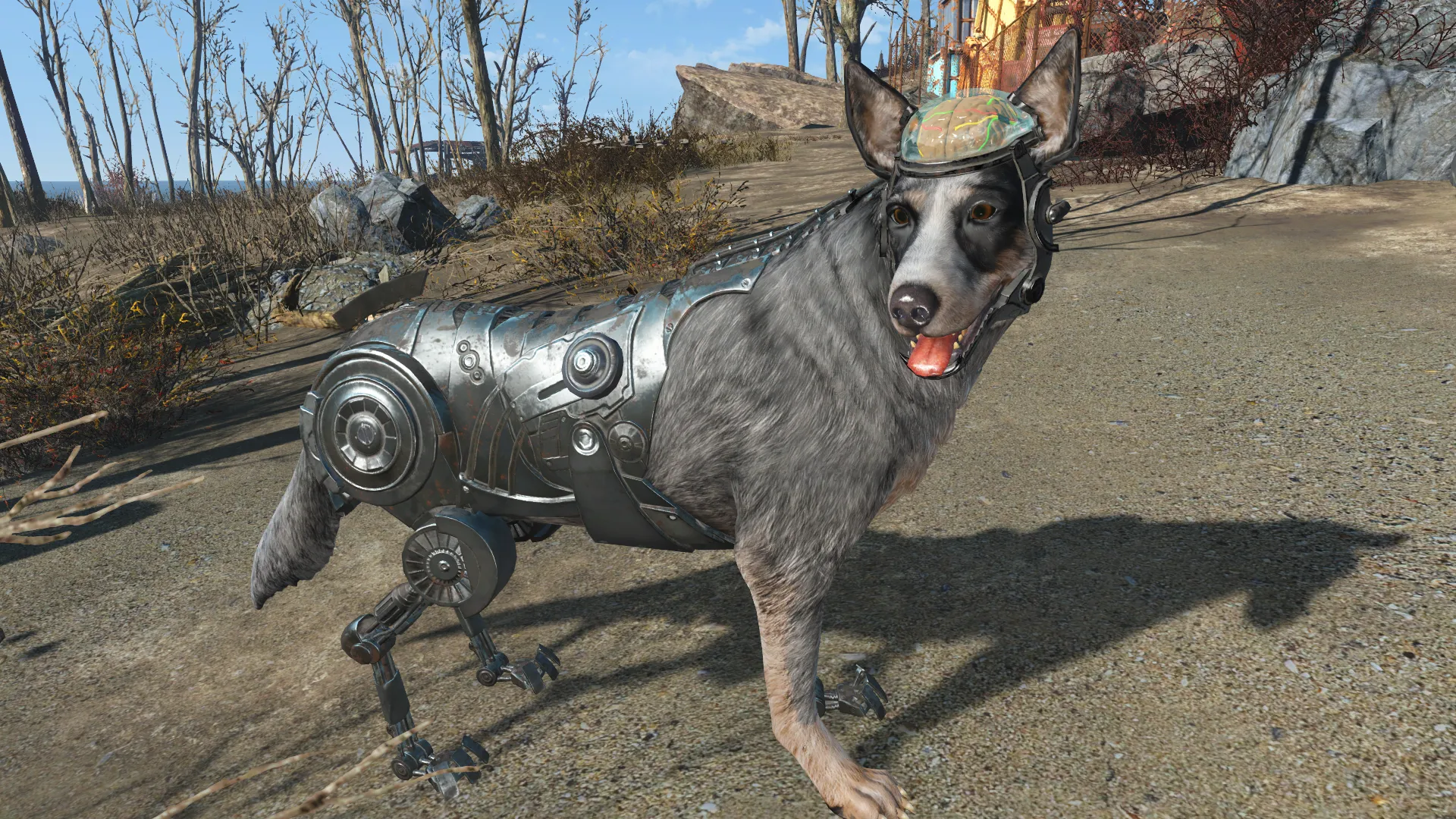 Fallout 4 Creations - サイバードッグ