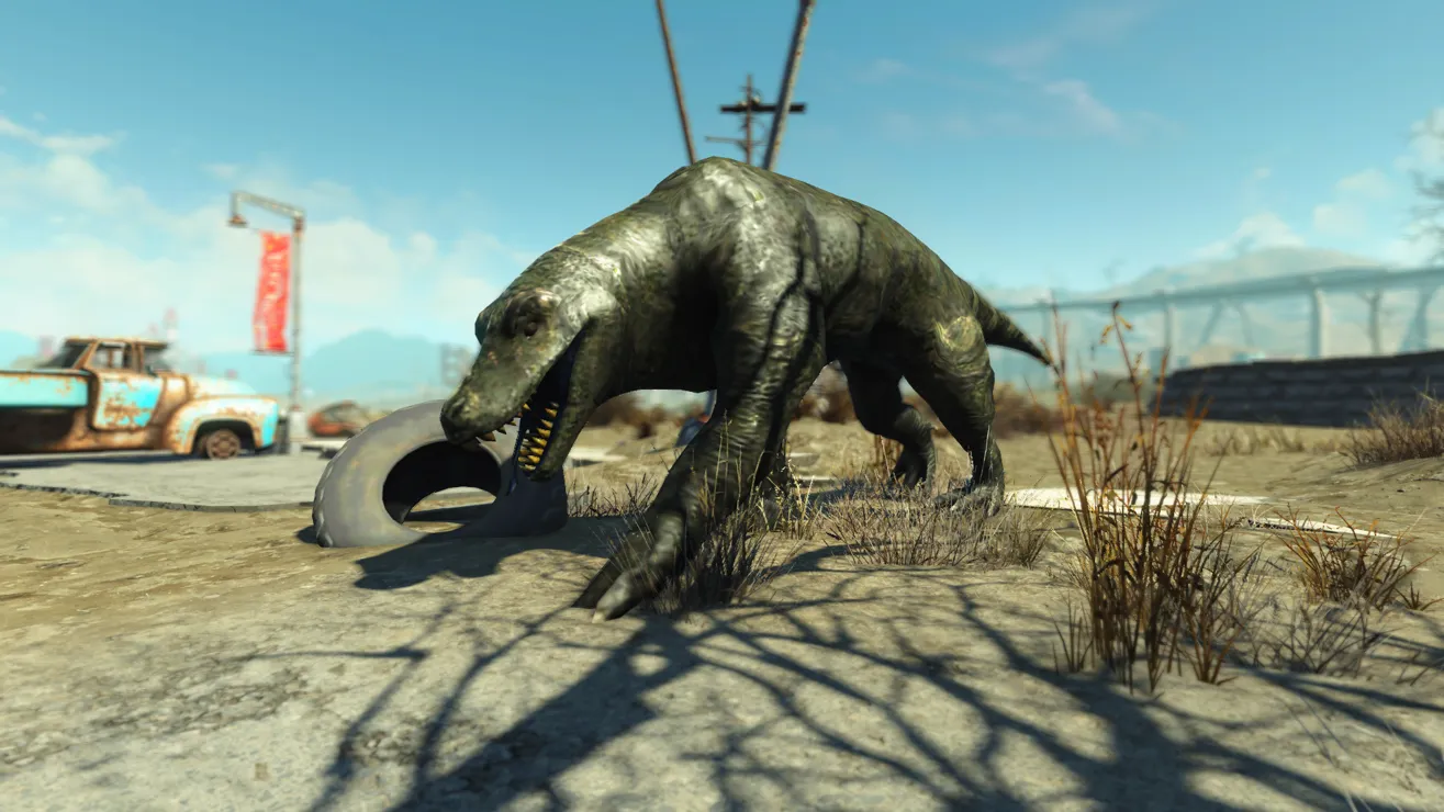 Image 9