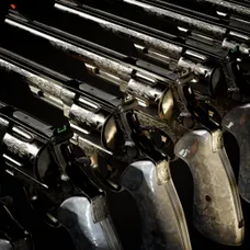 F4NV .44 Magnum