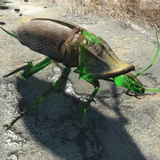 Legendary Radroach Fix
