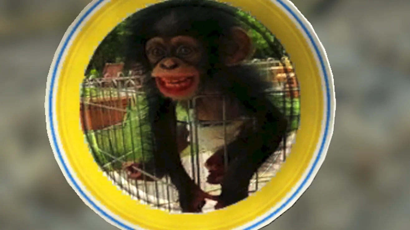 Fallout 4 Creations - Comemmorative Plates: Baby Monkeys in Diapers, image size:1315x740