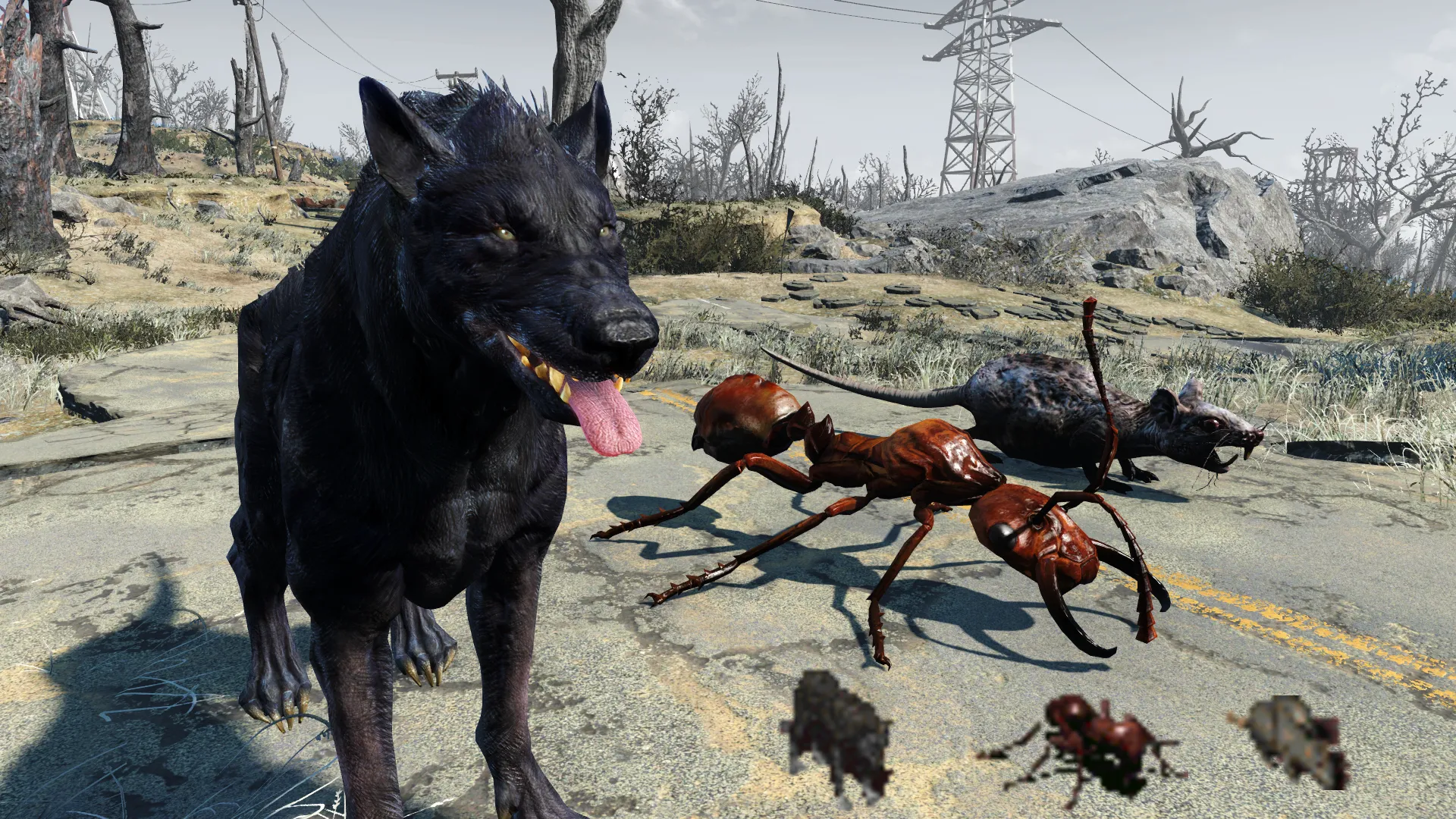 Fallout22222222222 4 Screenshot 2026.06.19 - 15.51.59.72.jpg