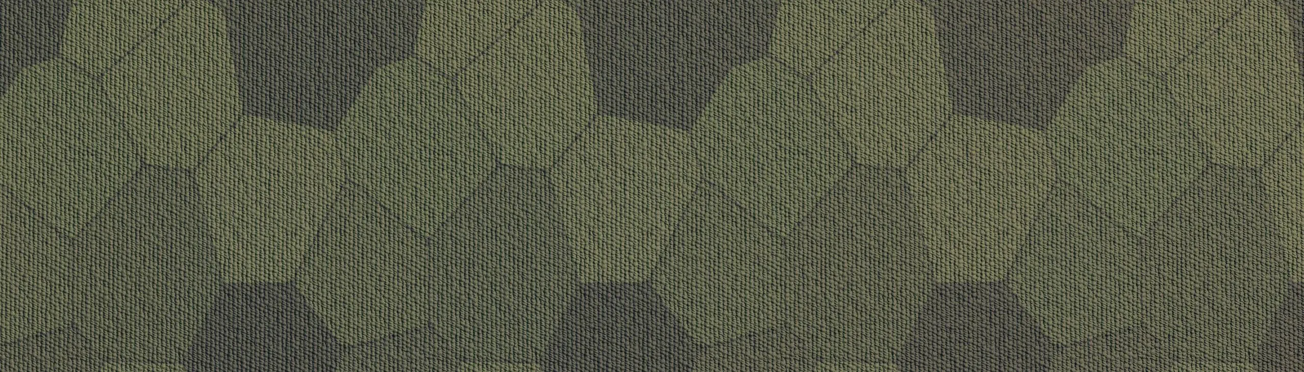 13287_1740243258.png