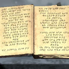 12003882361548614955