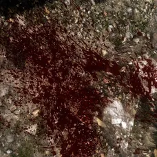 Enhanced Blood Textures