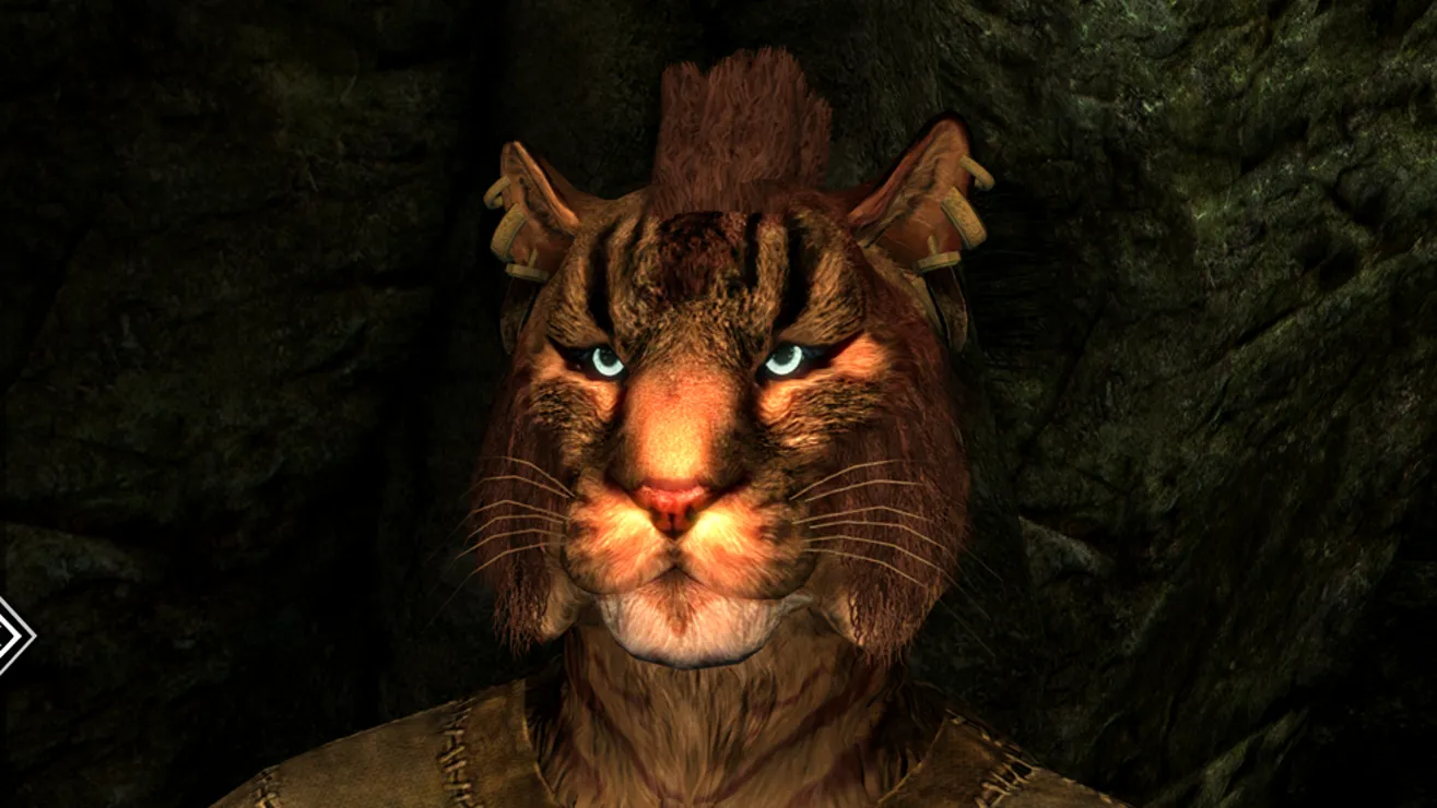 Skyrim クリエーション - My Khajiit is Awesome, image size:1315x740
