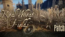 Real Wheat Fields Patch.png