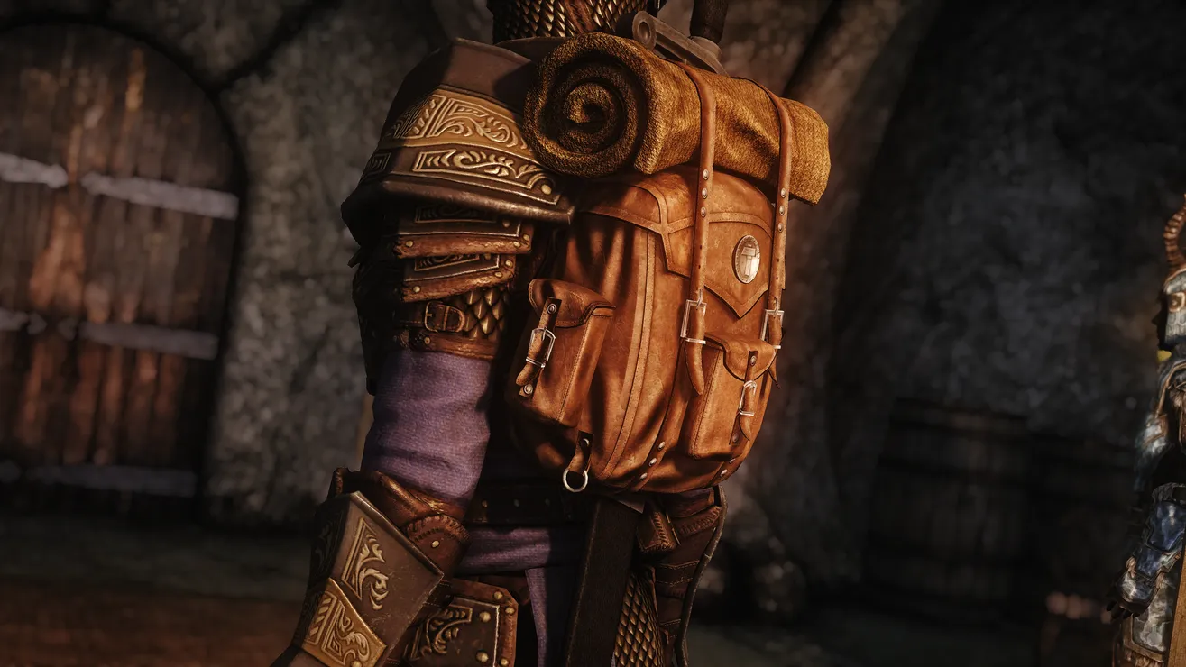 Leather 2024 backpack skyrim