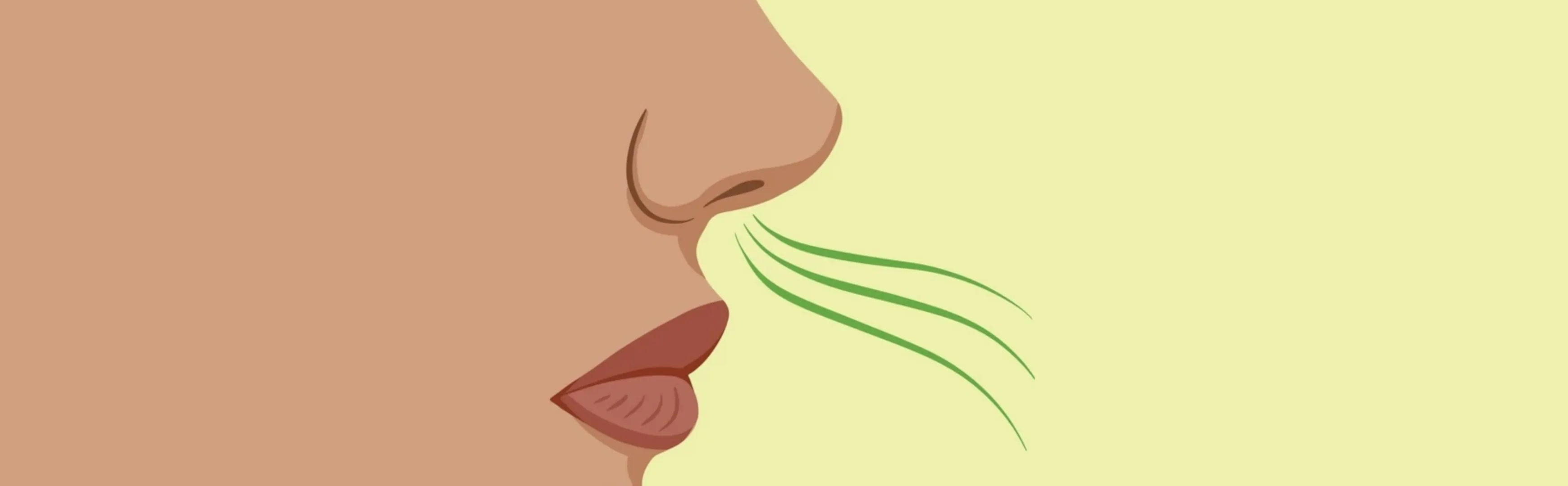 header.png