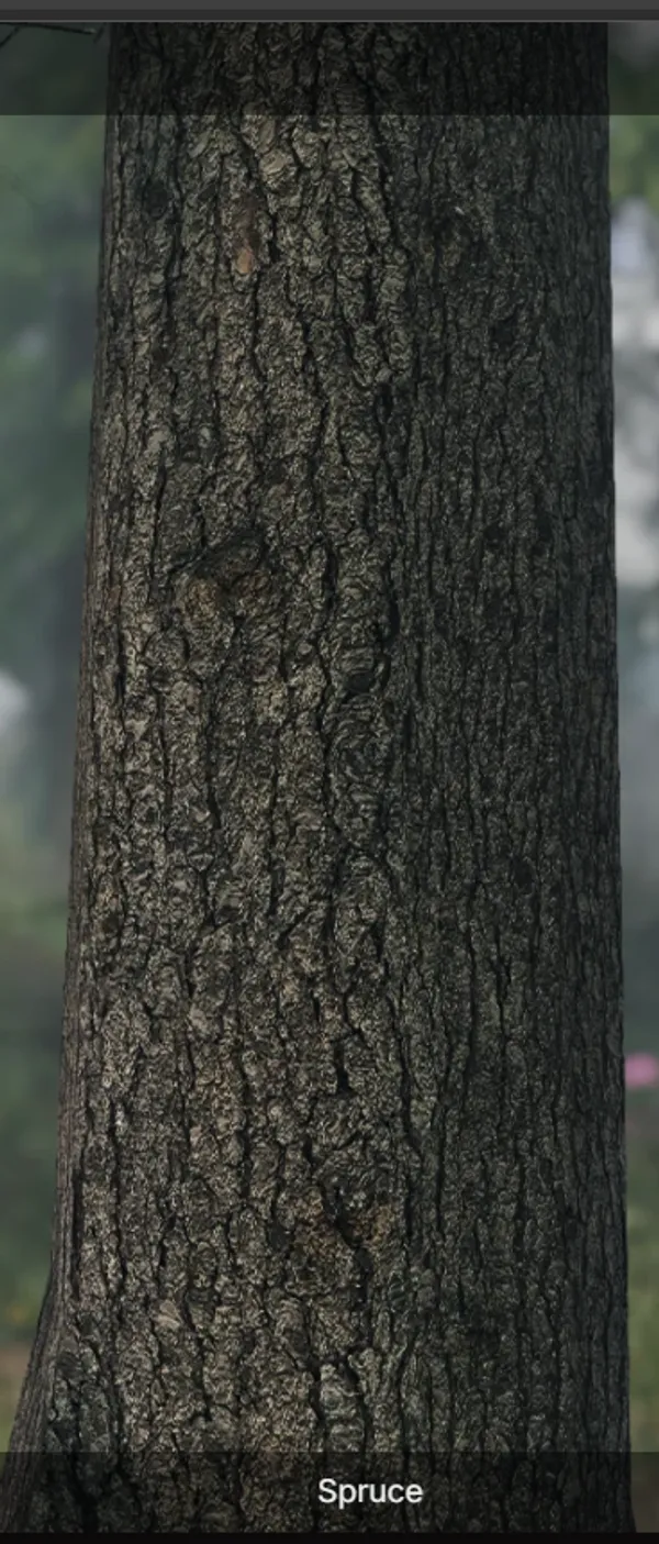 Preview Image 3