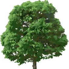 9699118960153653338