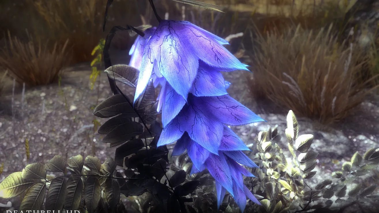 Skyrim Flowers Best Flower Site