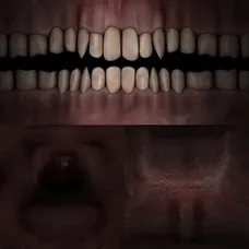 909036152413021