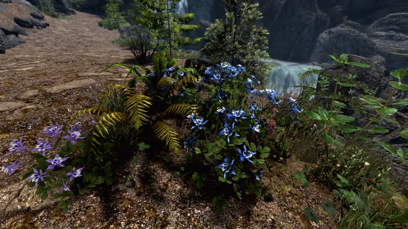 Skyrim Flowers Best Flower Site