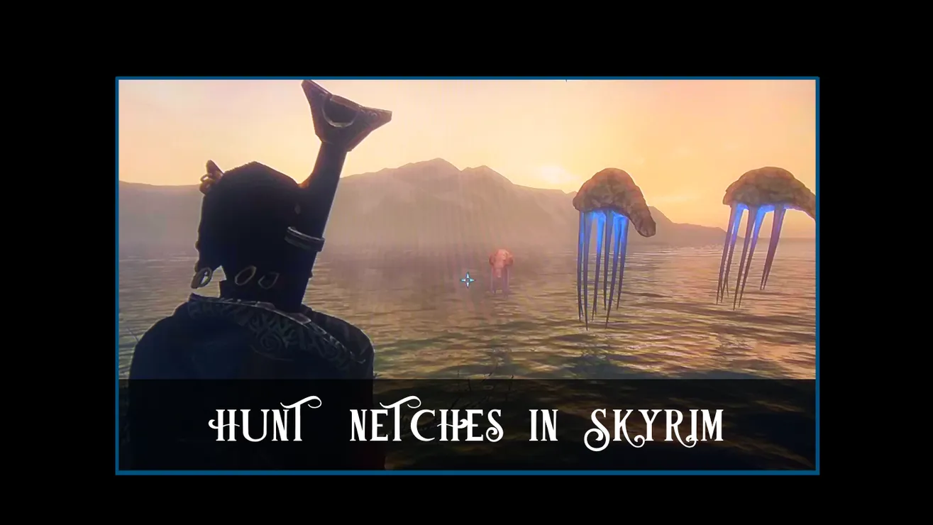 HuntNetches