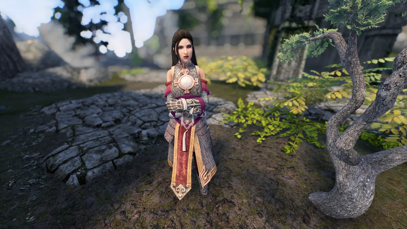 Elegant Dress and Scarlet Dress at Skyrim Nexus - Mods and Community