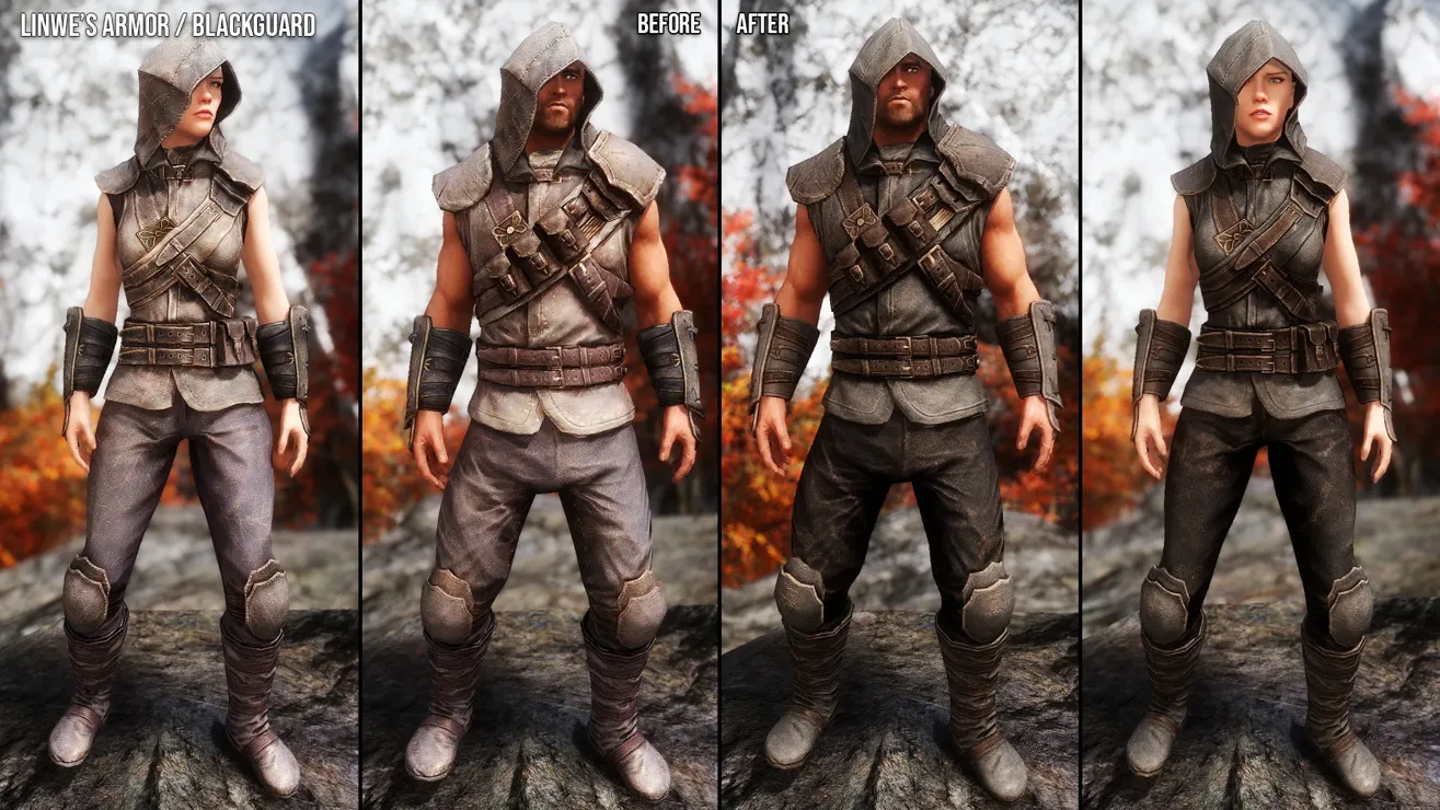 Skyrim Creations - Thieves Guild Armors Retexture 1k