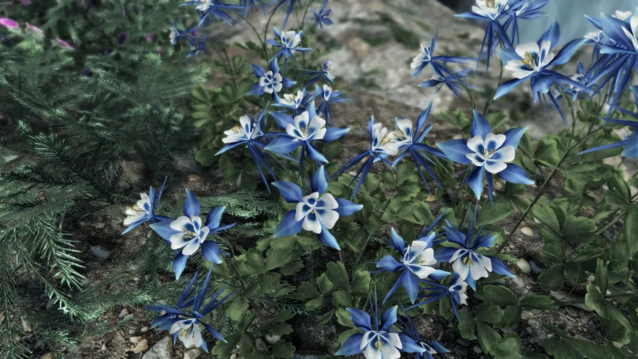 Skyrim Mountain Flower Mod Best Flower Site