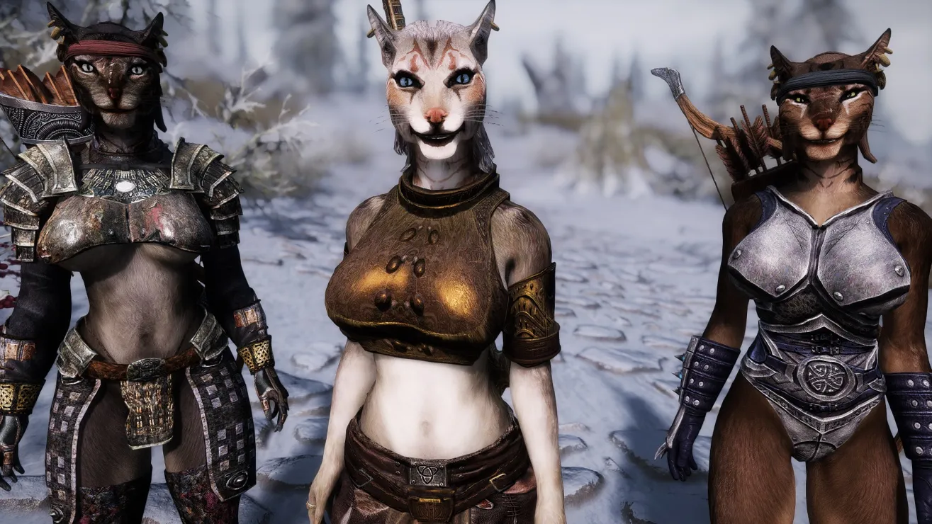 Skyrim Creations - More Kats Lite - Khajiit Followers Mod Alt Voice