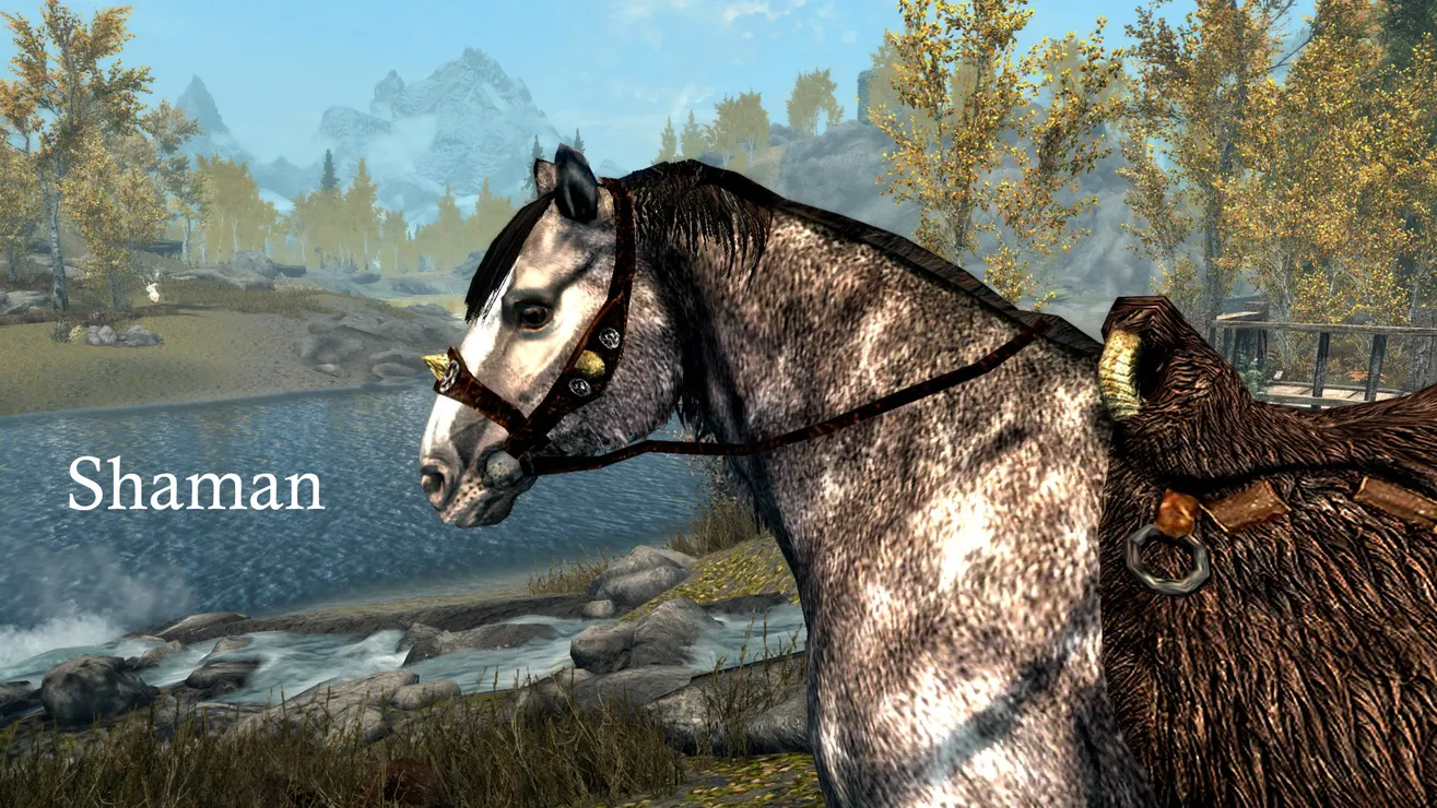 Творения для Skyrim — Named Horses in Skyrim [PC] — сведения