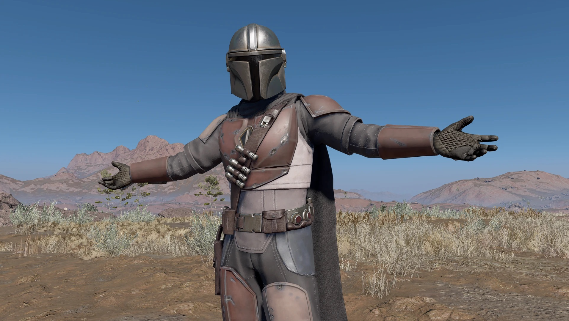 The Mandalorian