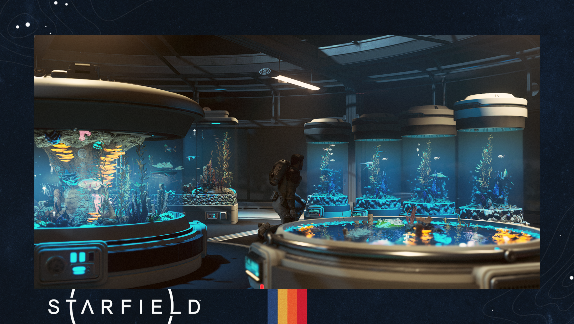 Hjalmere's Aquariums